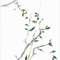 Botanical Branches No2