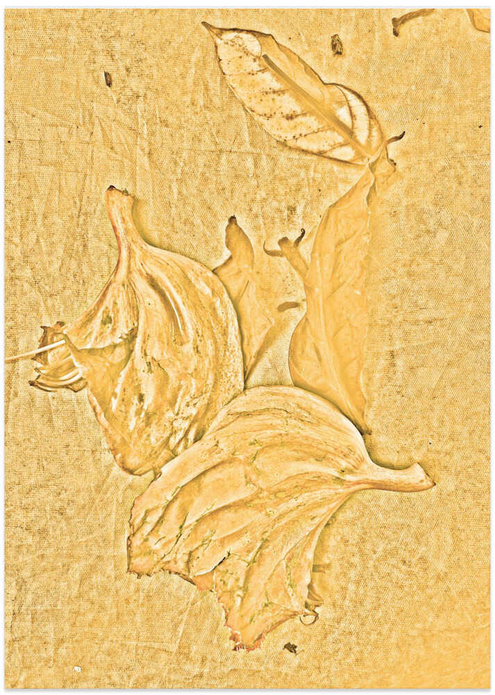 Golden Leaf Imprint