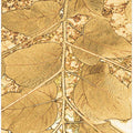 Golden Leaf Veins