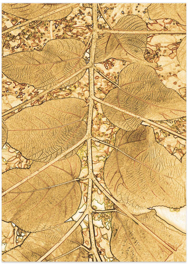 Golden Leaf Veins