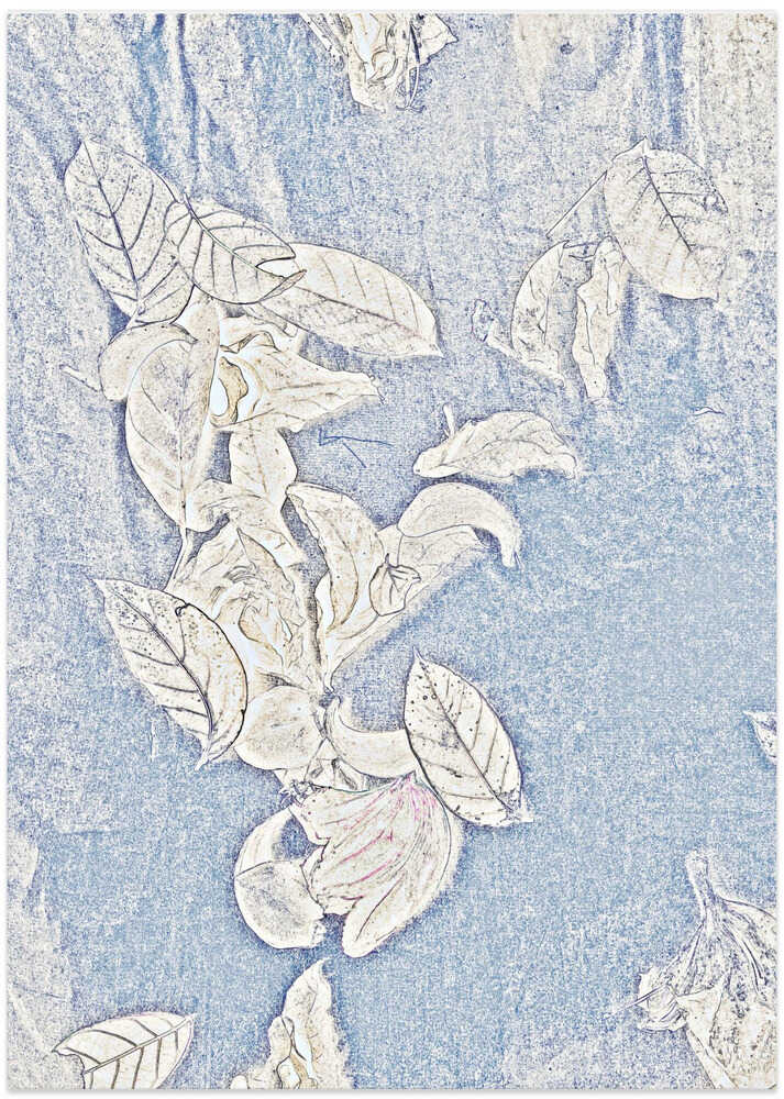 Frosted Leaves Ballet