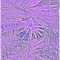 Purple Palm Dreams