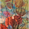 Branch Danceevocative, seasonal, colorful, delicate
