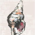 Shell Collector Art Print No 2
