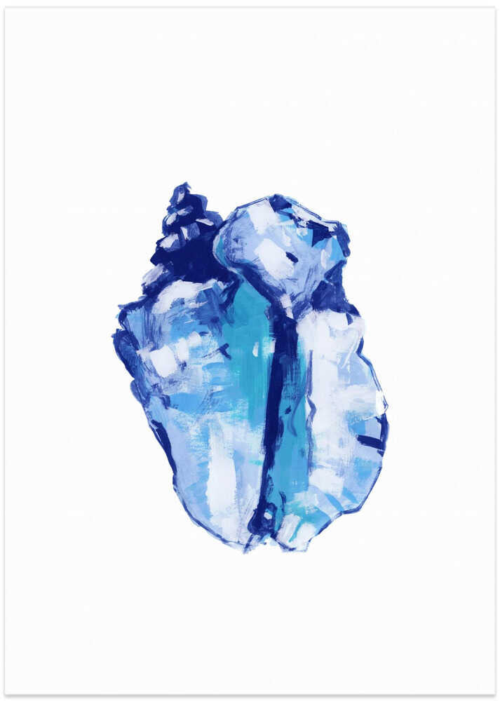 Blue Seashell On White Background No 1