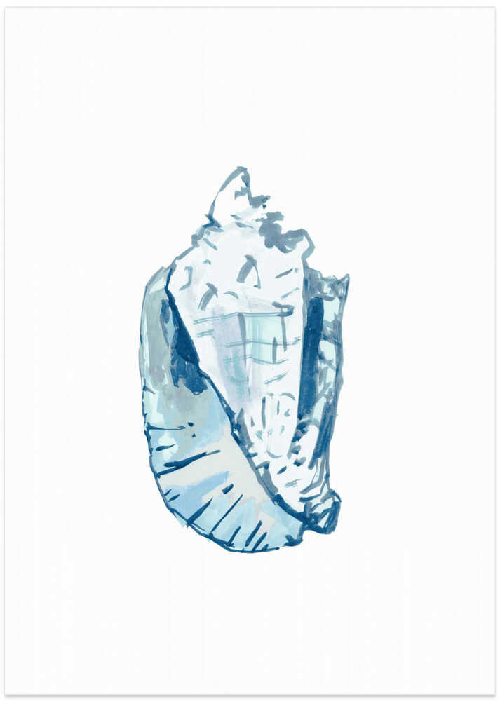 Blue Seashell On White Background No6