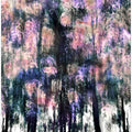 Forest in Flux