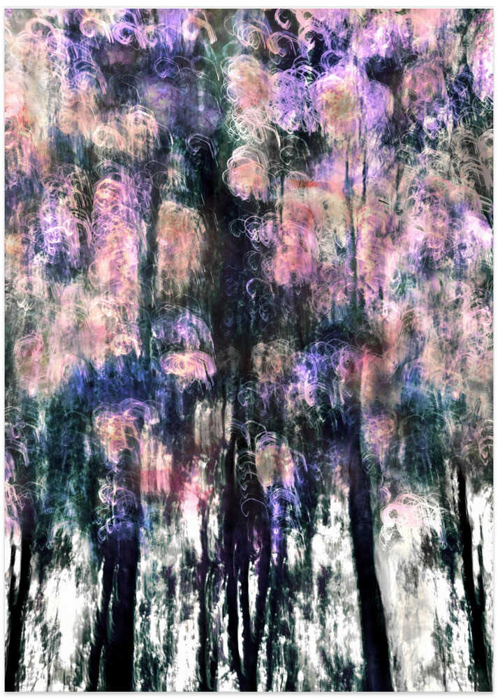 Forest in Flux