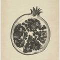 Vintage pomegranate