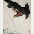 Eagle Flying In Snow (1933)