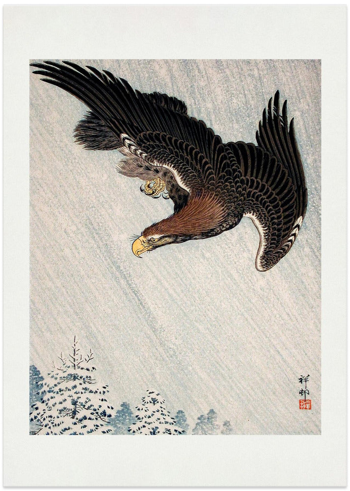 Eagle Flying In Snow (1933)
