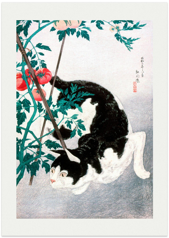 Cat With Tomato Plant (1931)