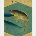 Carp In the Tone River, Tonegawa No Koi