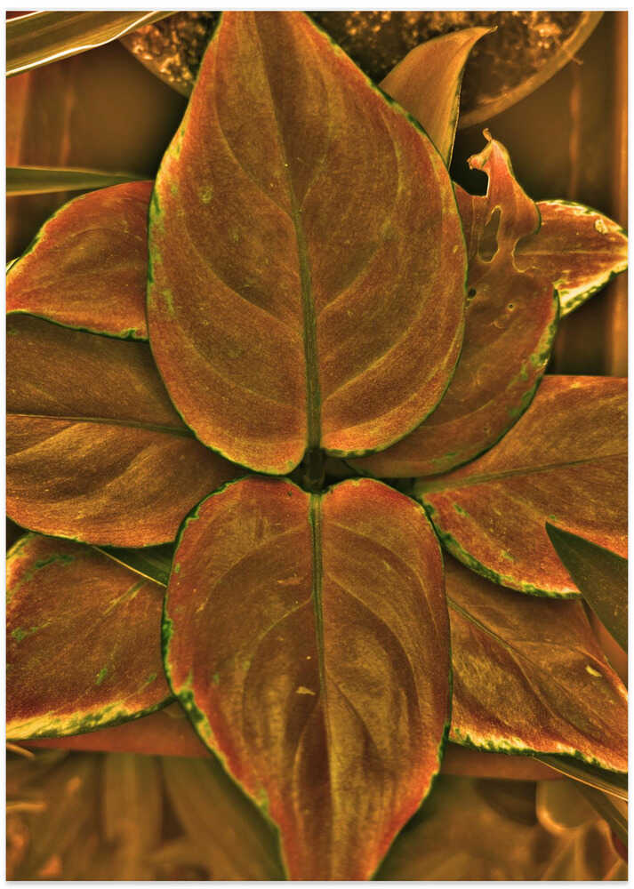 Golden Leaf Embrace