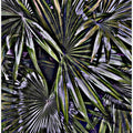 Fractal Foliage