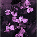 Purple Petal Dream