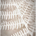 Fern Lace