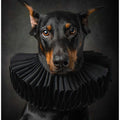 Regal Elegance: Portrait of a Doberman in Renaissance Style