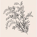 Acacia Botanical Branch