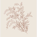 Acacia Botanical Branch