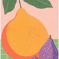 Fruit Illustration Pear and Figs