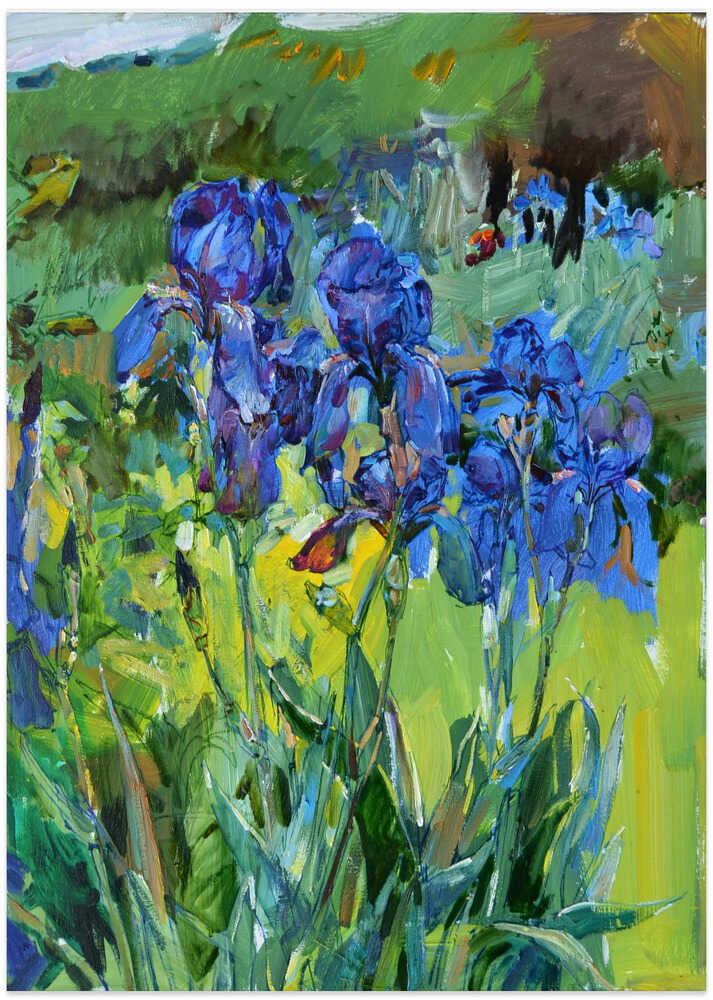 Irises