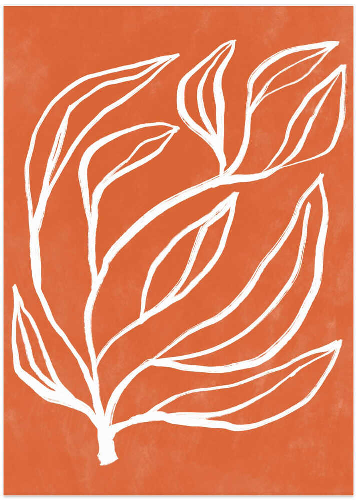 White Botanical Flow