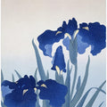 Iris Flowers