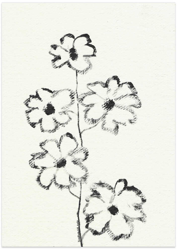 Monochrome Blossoms