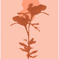 Floral Silhouette 7
