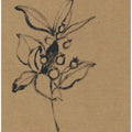 Charcoal Leaves