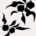 Pomegranate Silhouettes
