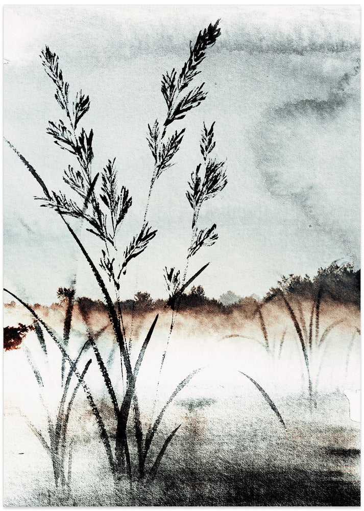 Misty Morning Reeds