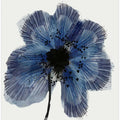 Blue Flower 2