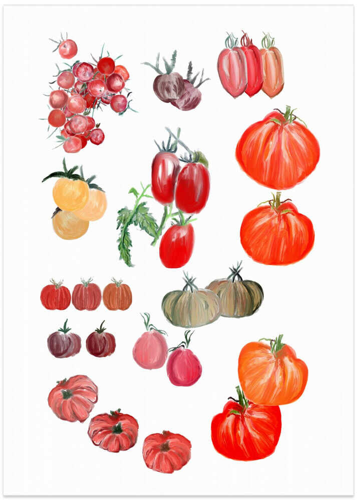 Pomodori Tomatoes Variety