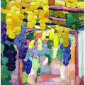 Grapes On a Pergola