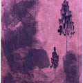 Purple Shadowscape