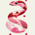Halftone Snake