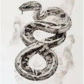 Snake On White Paper