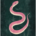 Snake Pink+green