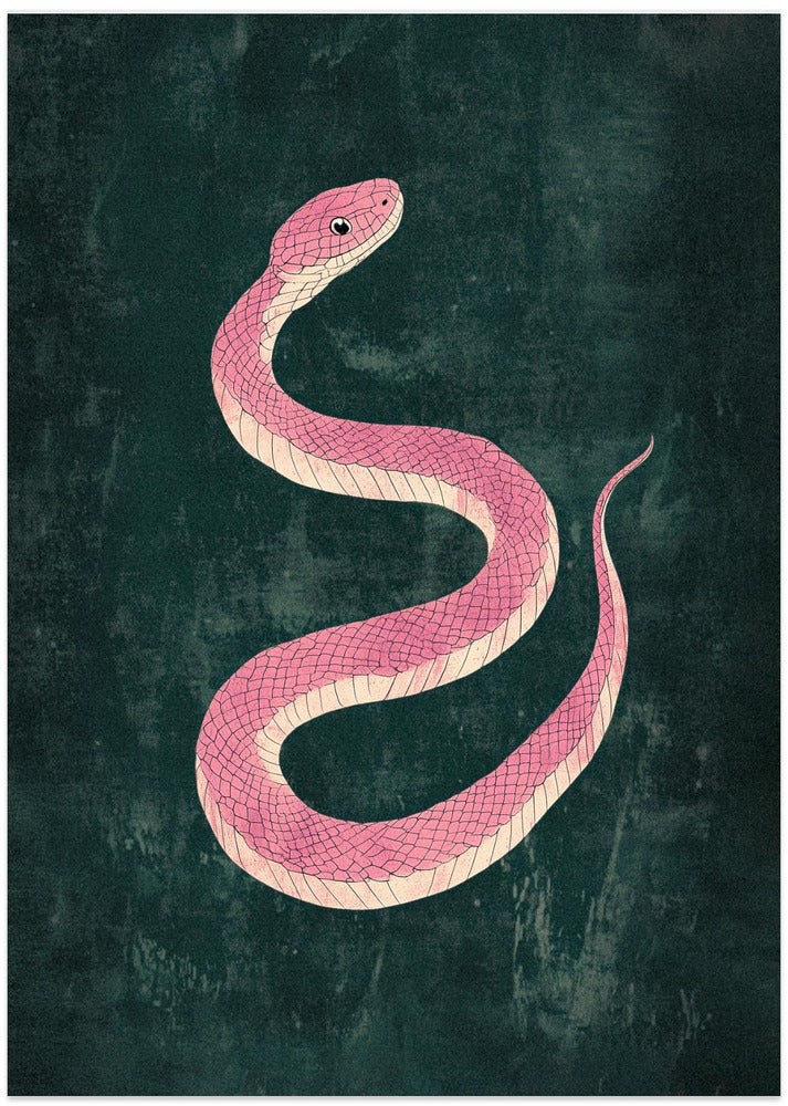Snake Pink+green