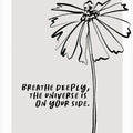 Breathe and Bloom