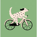 Spotted Dog Riding a Bicycle