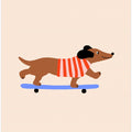 Dachshund on Skateboard