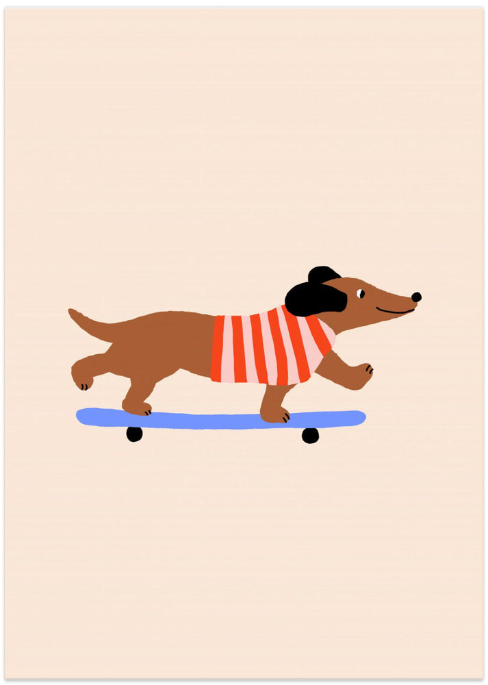 Dachshund on Skateboard