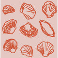 Seashell Symphony