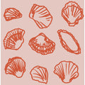 Coral Shell Symphony