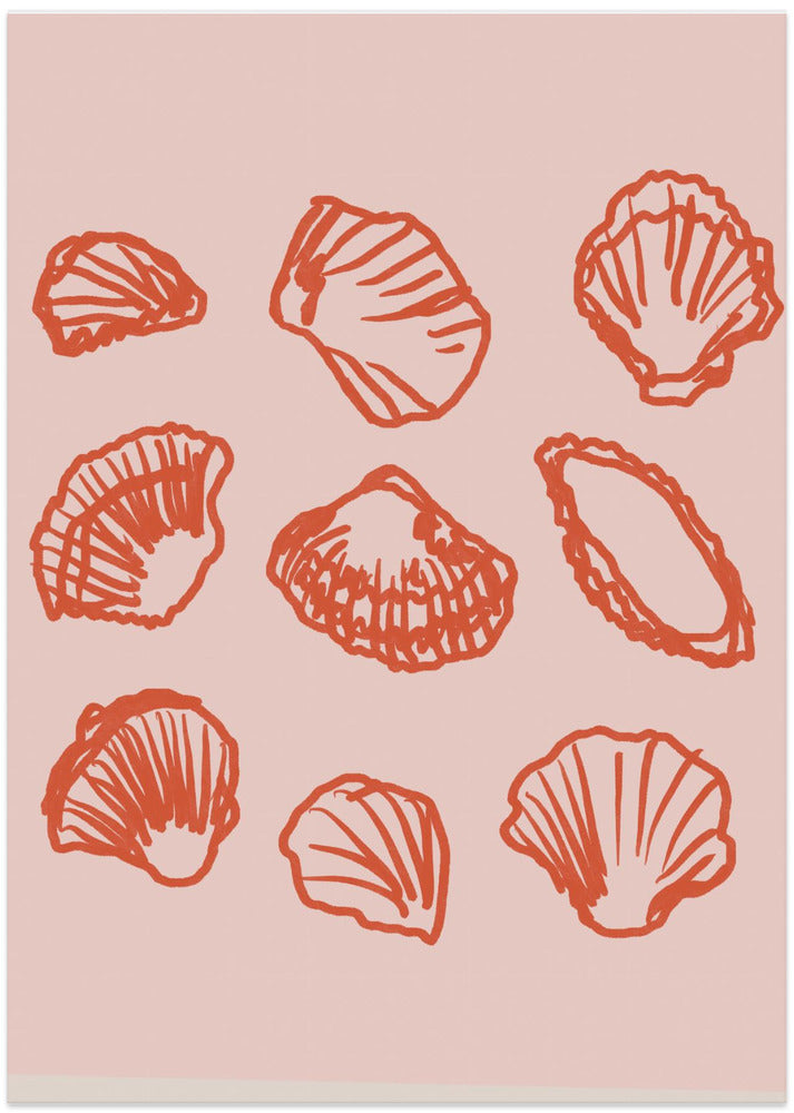 Coral Shell Symphony