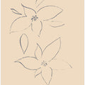 Petals in Sketch