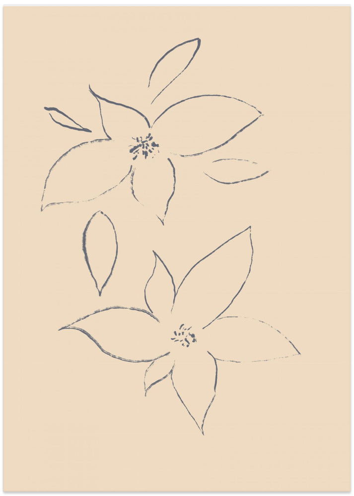 Petals in Sketch